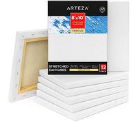ARTEZA 20 x 25 cm (8"x10") Premium Stretched Canvas, Bulk Pack of 12, Primed, 100% Cotton for Painting, Acrylic Pouring, Oil Paint & Wet Art Media, Art Supplies for Artist, Hobby Painters & Beginner
