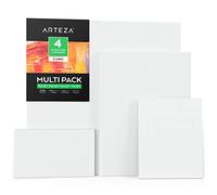 ARTEZA 50x50 cm, 30x40 cm, 20x25cm, and 25x15 cm Stretched Canvas, Pack of 4, 100% Cotton and Primed with Acid-Free Titanium Acrylic Gesso, Art Supplies for Professional Artists & Hobby Painters