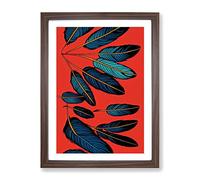 Artful Feathers Framed Print | A3 Walnut Framed Wall Art | Ready to Hang | Modern Nature Picture | Living Room Bedroom Lounge Office