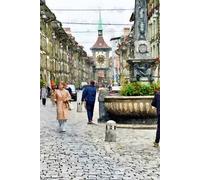 Artfulscapes Notebook: Bern