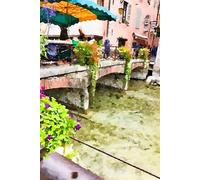 Artfulscapes Notebook: Canals of Annecy