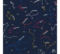 Arthouse Constellations Space Navy Blue Multi Kids Nature Nursery Wallpaper
