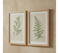 Arthouse Fern Leaves Green & Neutral Framed Print (H)40Cm X (W)30Cm, Set Of 2