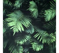 Arthouse 3D Look Fern Wall Green Wallpaper - Green