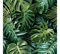 Arthouse Living Wall Green Wallpaper Tropical Jungle Leaves Modern