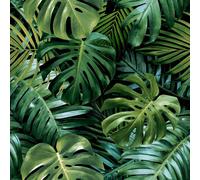 Arthouse Living Wall Wallpaper in Dark Green Arthouse Dark Green