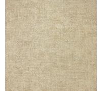 Arthouse Luxury Plain Champagne Arthouse