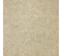 Arthouse Luxury Plain Champagne Wallpaper 299306