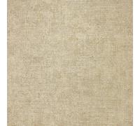 Arthouse Luxury Plain Champagne Wallpaper in Beige Arthouse Beige