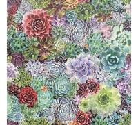 Arthouse Succulent Living Wall Multi Wallpaper Wallpaper 259402