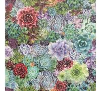 Arthouse Succulent Living Wall Wallpaper Arthouse Multicolor