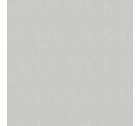Arthouse Luxury Plain Soft Silver Wallpaper 299307