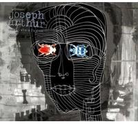 Arthur, Joseph - Come To Where I'm From