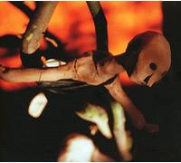 Joseph Arthur – Redemption's Son