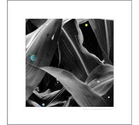 ARTHUR KING - CHANGING LANDSCAPES WAUTERS F - Vinyl Record - C600z