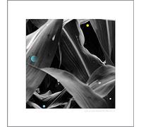 Arthur King - Changing Landscapes (Wauters Farm) [VINYL]