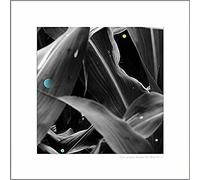 Arthur King - Changing Landscapes (Wauters Farm) LP Vinyl