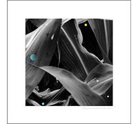 Arthur King - Changing Landscapes (Wauters Farm) [VINYL]