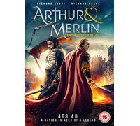 Arthur & Merlin: Knights of Camelot [DVD]