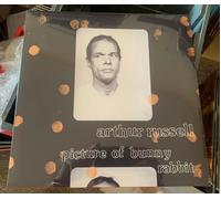 Arthur Russell - Picture Of Bunny Rabbit [VINYL]