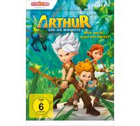 Arthur und die Minimoys (1) - Wie wird man ein Held? (DVD)