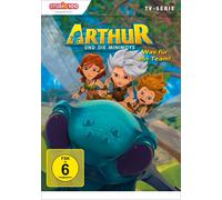 Arthur und die Minimoys (2) - Was für ein Team (DVD)