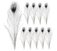ARTIBETTER 10Pcs Natural Peacock Plumes for Crafts Authentic Decorative for DIY Projects Home Decor Vase Fillings and Costume Accessories Long