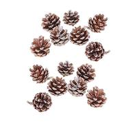 Artibetter 25Pcs Light Brown Pine Cones with White Tips for Christmas Tree Decor, Winter Crafts, Home and Party Decoration (3-4cm)