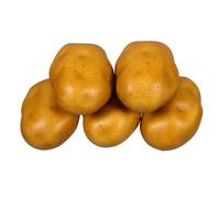 ARTIBETTER 5pcs Realistic Foam Potato Models Artificial Potatoes Lightweight Decor for Kitchen Supermarket Displays Art Classes Home Decoration