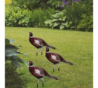 Artibetter Acrylic Chicken Garden Stake Yard Art Outdoor 3D Lawn Pheasant Stake Decorative Yard Sign for Courtyard Garden Decoration