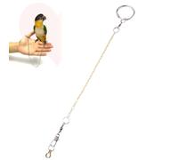 Artibetter Copper Buckle Circle Foot Chain Anklet for Birds Split Ring Design for Cockatiels Peony Lovebirds Lightweight Parrot Foot Accessory to Prevent Flying Golden Silver Options