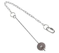 Artibetter Hanging Bird Feeder Fruit and Vegetable Fork Skewer Stainless Steel with Chain Anti-rust Feeding and Serving Fresh Treats for Birds