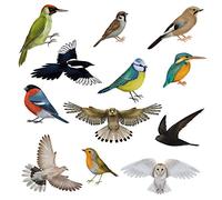 Articlings 12 Brilliant Bird Window Clings 11 Different Birds & 1 Owl - Non-adhesive Stickers - Quickly Decorate and Brighten your Windows