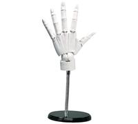 Articulated Hand Model 1:1, 8x14 Inch Left Hand with Moveable Joint & Base, PVC Model for Drawing Painting Sketching, White