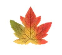Artificial Autumn Fall Maple Leaf Garland