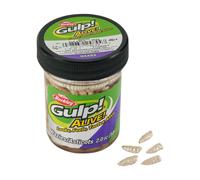 Artificial baits Berkley Gulp! Alive!® Blanc 12 mm
