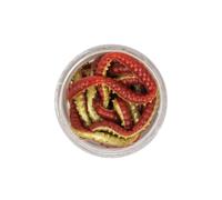 Artificial baits Berkley PowerBait® Power® Rouge 2,5 cm
