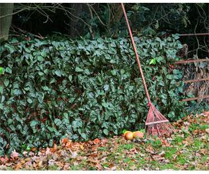 Artificial Bamboo Cane Screening Roll Grey Garden Fencing Outdoor Screen