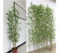 Artificial Bamboo Plants - 5 Pack, 1.5m Tall - Realistic Indoor/Outdoor Decoration, Perfect for Room Dividers and Wall Partitions, Lifelike Faux Trees.