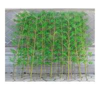 Artificial Bamboo Plants for Indoor & Outdoor Decor - 50 Faux Trees in Plastic Planters - Privacy Wall Divider & Fencing - Ideal for Home Office Aquarium & Restaurants (3.9ft Tall)