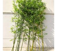 Artificial Bamboo Plants Outdoor Tall 3ft 4ft 5ft 6ft 7ft 8ft 9ft 10ft, Faux Bamboo Tree Privacy Fence Screen, Artificial Greenery Wall, Fake Plant Leaves, Outdoor Hedge Divider(50pcs,H1.8m/5.9ft)