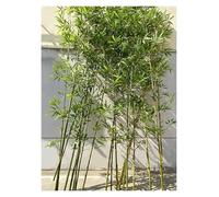Artificial Bamboo Plants Outdoor Tall 3ft 4ft 5ft 6ft 7ft 8ft 9ft 10ft, Green Faux Bamboos Fence Privacy Screen Fake Tree for Balcony Patio Garden Outside Decor(85 pack,2.5m/8ft Tall)