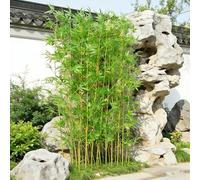 Artificial Bamboo Stalks Tree - Faux Bamboo Plants for Outdoor Privacy Fence, Waterproof Garden Yard & Large Greenery Wall Decor