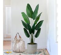 Artificial Banana Tree -Fake Silk Tree - Faux Plant - Home Decor - 6 Ft Tall Artificial Bird of Paradise with 10 Trunks for Living Room, Patio, Office Indoor/Outdoor,L160