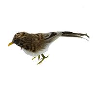 Artificial Bird Feathered Realistic Sparrow Home Garden Tree Decoration 1