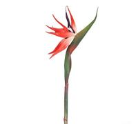 Artificial bird of paradise flower stems, 6 pieces, designed for indoor garden and wedding decorations, made with plastic and iron wire for easy shaping (trumpet red)