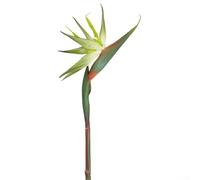 Artificial bird of paradise flower stems, 6 pieces, designed for indoor garden and wedding decorations, made with plastic and iron wire for easy shaping (trumpet green)