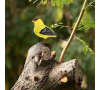 Artificial Bird Toy - Bird Ornaments | Electric B́ird |Decorative Fake Birds For Realistic Sound Making Birds For Interactive Outdoor Garden Toy F́or Kids Home Patio Décor
