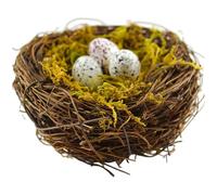 Artificial Birds Nest, Simulated Bird Nest 7.9x3.2 Inch, Rattan Bird Nests for Crafts with 3 Eggs