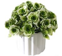 Artificial Bonsai, 16cm x 17cm Plastic Potted Plant, Lifelike Rose Flower, Low Maintenance Dr, Sturdy Fade Resistant Design, for Home Office Tabletop(White)